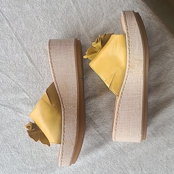 Born mustard slides - Picture 2 of 5